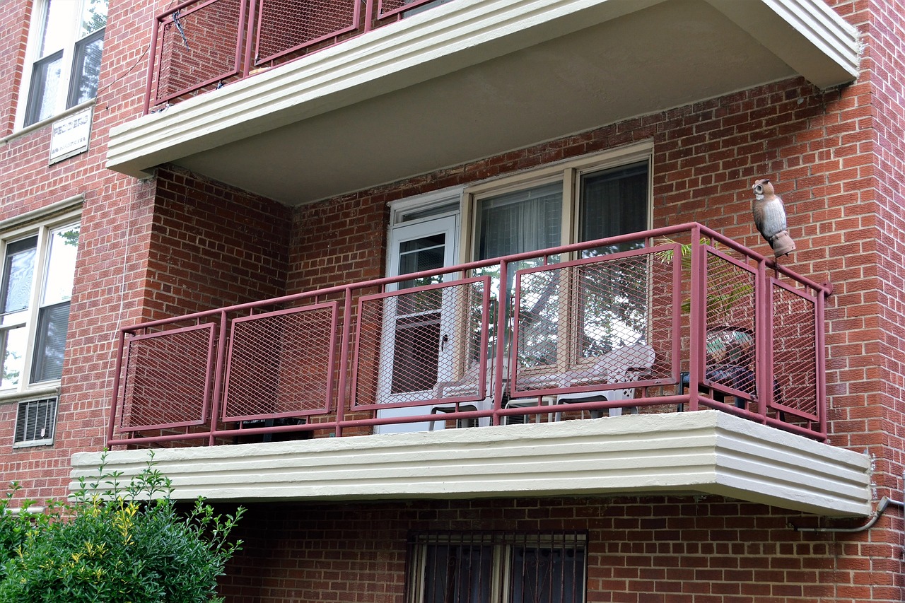 Quelle haie choisir pour une terrasse d'appartement ?