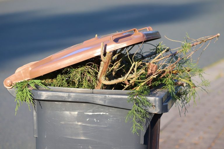 Que mettre dans son compost : optimiser le recyclage des déchets organiques